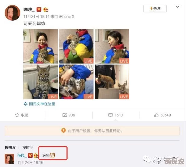 毛片短视频 网友推荐这款短视频平台内容丰富多样让人欲罢不能适合各类用户观看体验极佳不容错过