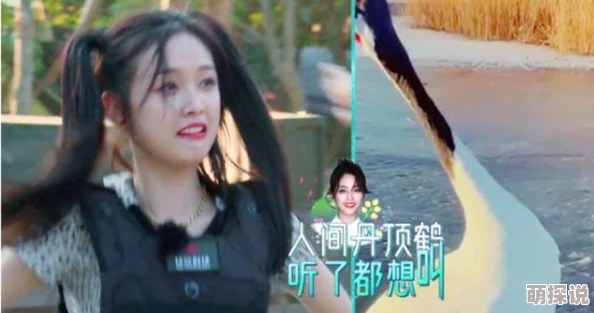 王祖贤脱的精光三级全部视频曝光引发网友热议 王祖贤脱的精光三级全部视频曝光引发网友热议