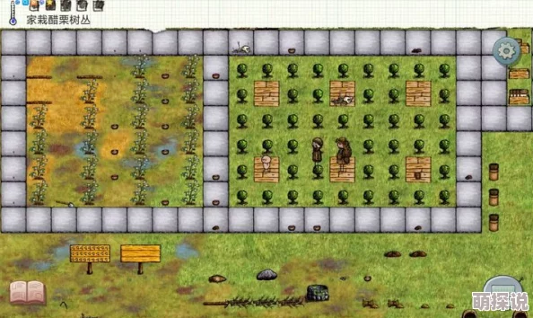 希望之村夏娃生存指南：全面解析需收集的关键资源类型一览表