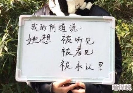 片一级毛片视频播放免费看健康生活方式指南