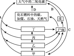 欧美1314性欧美最新研究表明全球气候变化对生态系统的影响日益加剧
