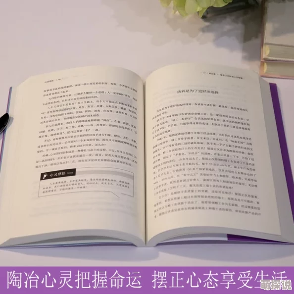 欧美精品久久久久久小说推荐正能量书籍提升心灵成长
