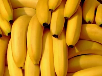 精品一久久香蕉国产二月传递正能量,弘扬传统文化,展现美好生活 精品一久久香蕉国产二月传递正能量,弘扬传统文化,展现美好生活