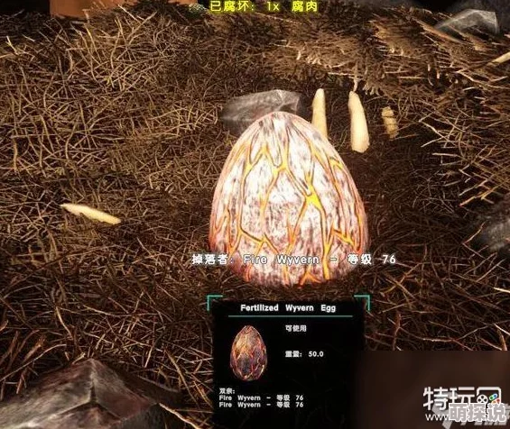 方舟生存进化游戏攻略：恐龙蛋用法全解析，既可食用又能作为高效饲料