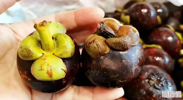 CF手游最终12小时挑战：揭秘变质食物种类及食用风险详解