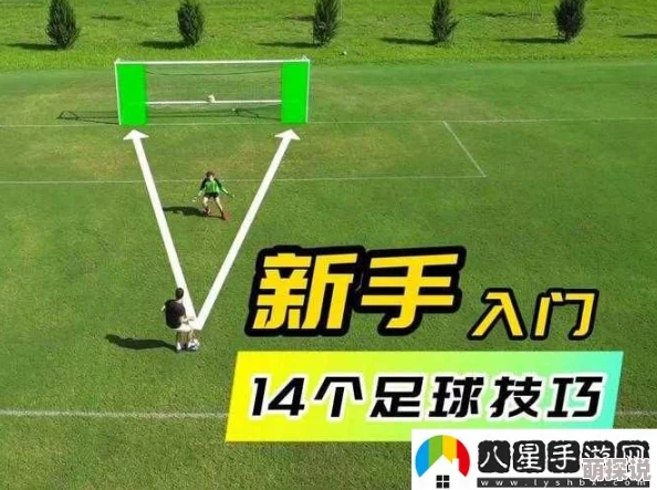 胜利足球新手必看！全面攻略指南助你快速上手称霸球场
