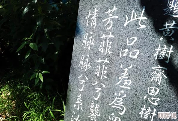 王牌御史手游攻略：揭秘最强武器选择，哪把神器能让你称霸战场？