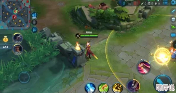 王者荣耀辅助英雄攻略：深度解析如何更有效地布置与利用视野篇