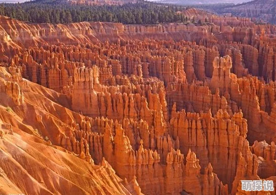 使魔计划竞技场攻略：打造一波流阵容，输出爆表是关键选择策略