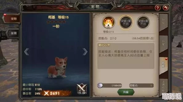 漫游飒飒新手攻略：前期宠物选择指南，揭秘哪个宠物最厉害助力开荒