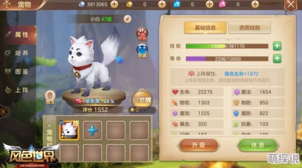 漫游飒飒新手攻略：前期宠物选择指南，揭秘哪个宠物最厉害助力开荒