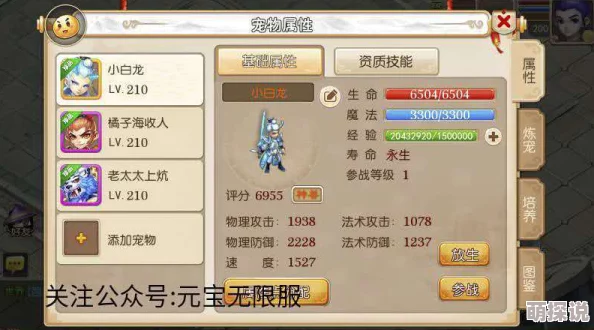 仙魔决深度攻略：揭秘宝宝培养篇，打造最强战宠的终极秘诀
