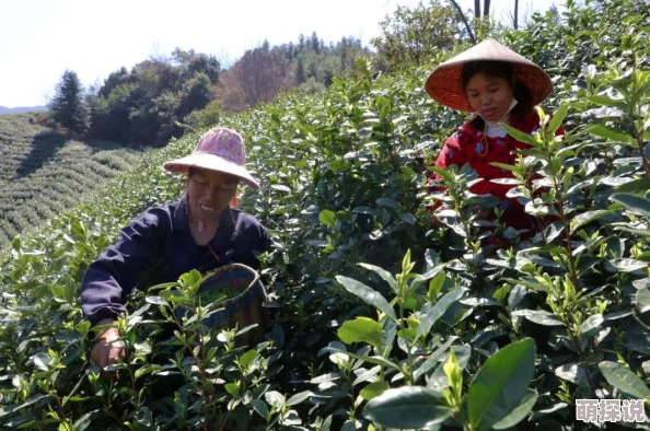 《明日之后》生存攻略：雨水感染危机四伏，戴帽子成关键预防措施之一