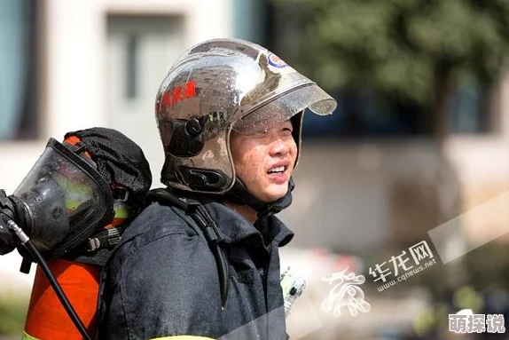 航海王燃烧意志：顶尖阵容搭配策略揭秘，角色协同作战全攻略
