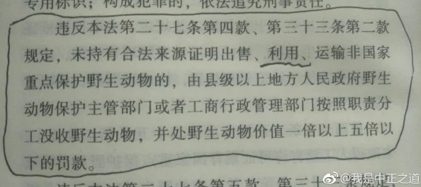 ADULTVIDEO日本兽交最新进展消息引发广泛关注相关法律法规亟待完善以保护动物权益和维护社会道德标准