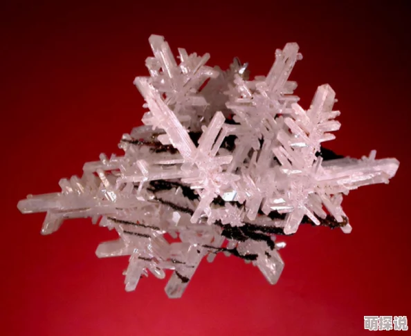 梦幻模拟战高效攻略：揭秘快速获得钻石的实用方法与技巧