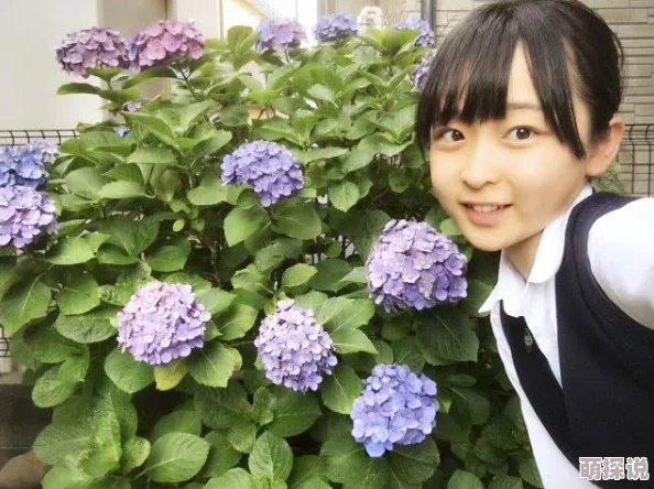 野花日本社区视频WWW内容丰富多样，体验极佳