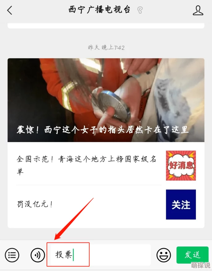 视频一区视频二区视频三区亚洲毛茸茸惊喜连连好戏不断