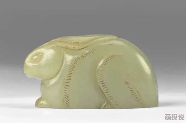 长生劫孔洞选择技巧全解析：不同选项背后的奖励与策略一览