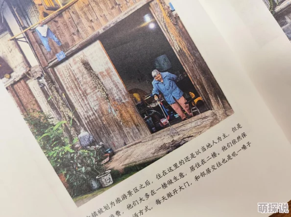 农村老少伦小说 这部小说通过生动的故事展现了农村生活的真实面貌，情感真挚，值得一读。
