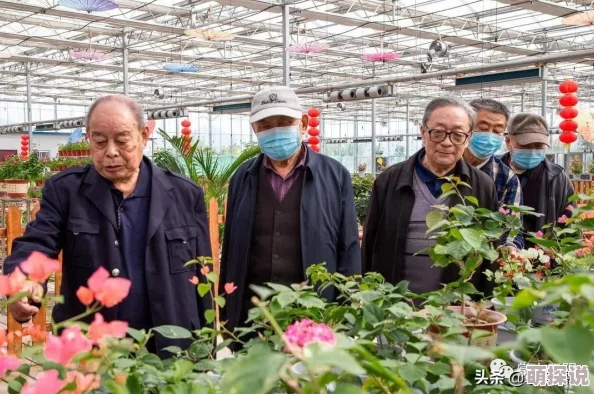 九九爱精品最新消息更新！九九爱精品推出全新系列产品，满足您对高品质生活的追求