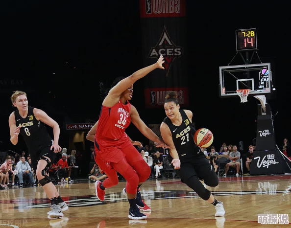 曰本xx69WNBA常规赛:拉斯维加斯王牌vs芝加哥天空 曰本xx69WNBA常规赛:拉斯维加斯王牌vs芝加哥天空