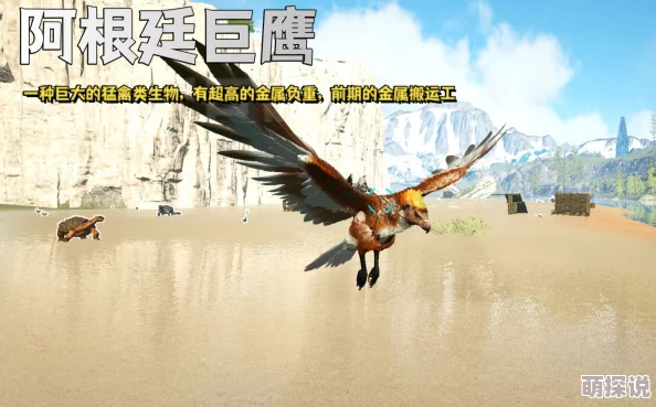 方舟生存进化攻略:阿根廷巨鹰驯服技巧揭秘,使用剑龙蛋及召唤代码一览 方舟生存进化攻略:阿根廷巨鹰驯服技巧揭秘,使用剑龙蛋及召唤代码一览