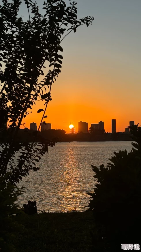 高清嘼皇Brownhotties日落之前