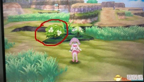 宠物小精灵手游攻略:全面解析强力宠物巴大蝶的技能与特性 宠物小精灵手游攻略:全面解析强力宠物巴大蝶的技能与特性