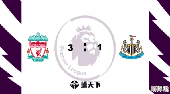 艳母224-25赛季英超第14轮纽卡斯尔联VS利物浦