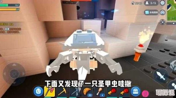 乐高无限游戏探索：揭秘圣甲虫隐藏位置全攻略