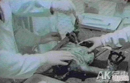 污视频免费网站51区事件