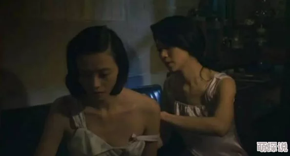 同性女女黄h片在线播放神探风云