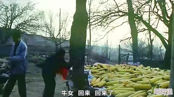 国产农村妇女一级毛片视频片维也纳血案第四季