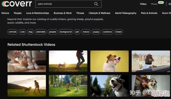 欧美日韩精品视频sesAV提供多样化高质量影视内容满足不同观众需求