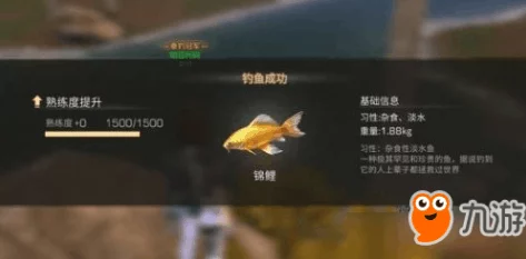 明日之后游戏攻略：揭秘锦鲤垂钓地点，全服锦鲤位置一览及钓鱼技巧分享