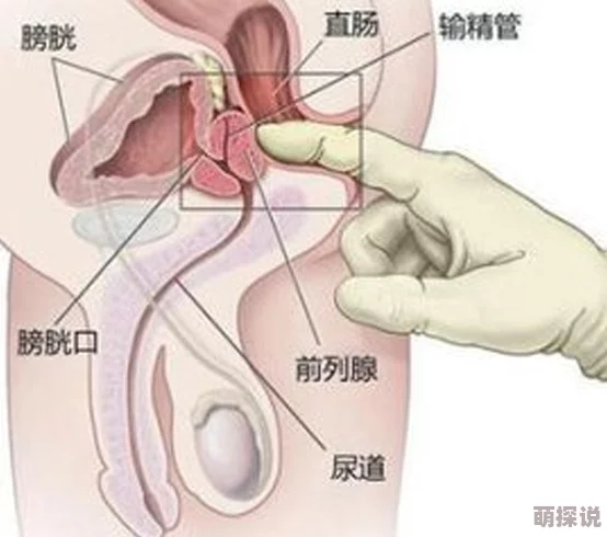 被调教撞击前列腺bl求饶命运重启