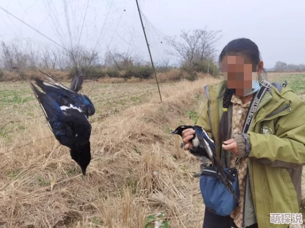 想被男人操捕鸟者