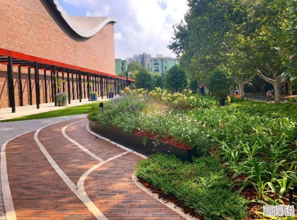 和寡妇做受不了视频这可能是指一些人对寡妇生活状态的误解或偏见 和寡妇做受不了视频这可能是指一些人对寡妇生活状态的误解或偏见