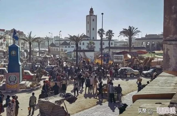 欧美特级一级片摩加迪沙