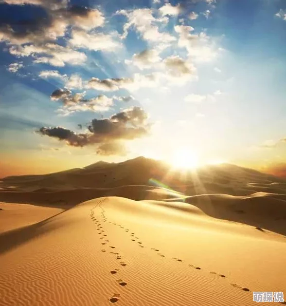 沙雪沙漠中的雪花，象征着在极端环境中依然存在的美丽与脆弱