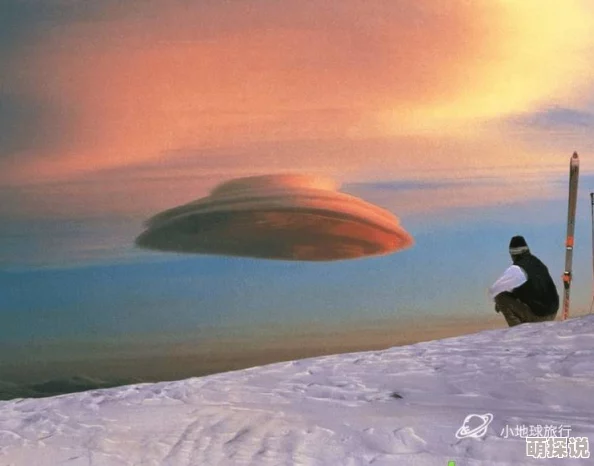 沙雪沙漠中的雪花，象征着在极端环境中依然存在的美丽与脆弱