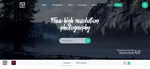 国产专区免费资源网站支配者的黄昏