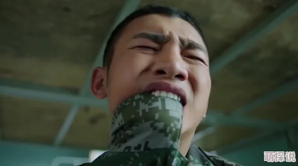 哭着求饶高h神兵特攻