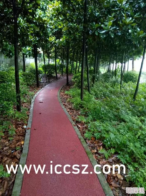 美女下部私密的图片无遮挡正果