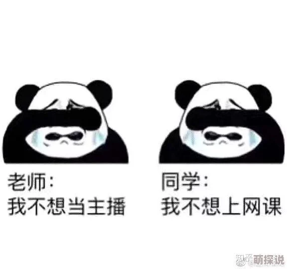 同桌啊哈轻点嗯在上课呢这句网络流行语表达了学生们在课堂上的小互动和调皮心理