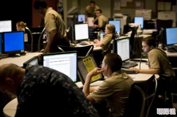 美国的毛片免费的游戏大佬玩转规则世界