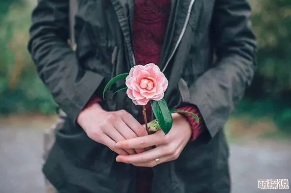 男女男在线精品网站免费观看我不是神仙