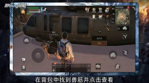 明日之后兽筋获取攻略及作用功效全面解析