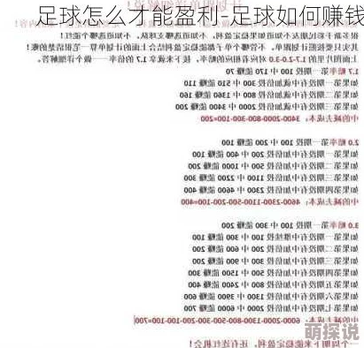 深度解析：胜利足球薪资进阶攻略与全面详解，助你打造梦幻球队！